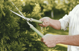 Técnicos Certificados Cerca de Ti