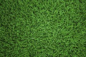 Profesionales Certificados Cerca de Ti