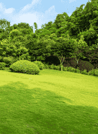 Técnicos Certificados