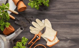 Mantenimiento y cuidado del jardín