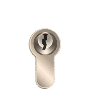 Cerrajeros Profesionales