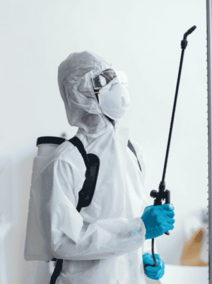 Desinfección Profesional